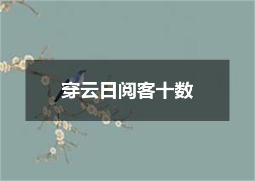 穿云日阅客十数