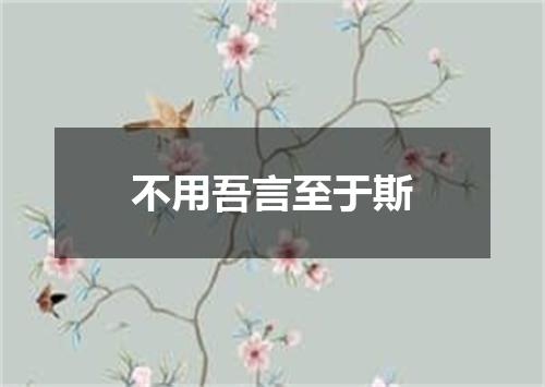 不用吾言至于斯