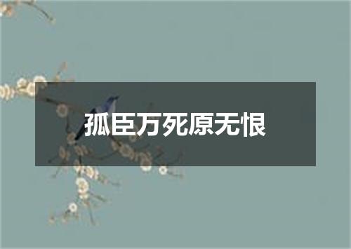 孤臣万死原无恨