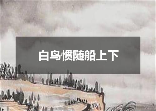 白鸟惯随船上下