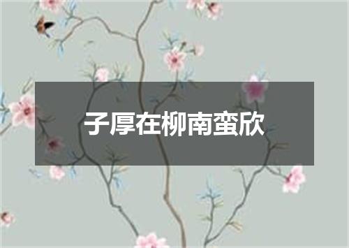 子厚在柳南蛮欣