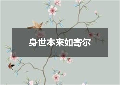 身世本来如寄尔