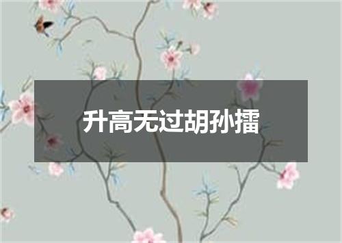 升高无过胡孙擂