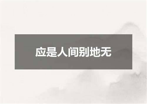 应是人间别地无