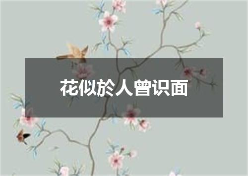 花似於人曾识面