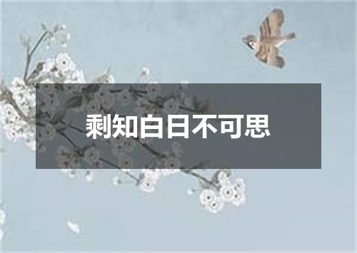 剩知白日不可思