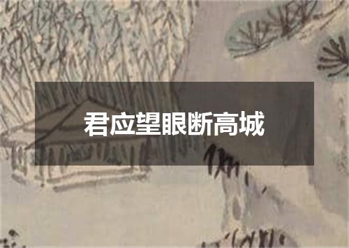 君应望眼断高城