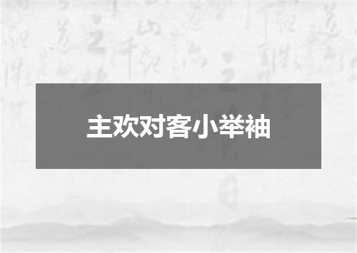 主欢对客小举袖