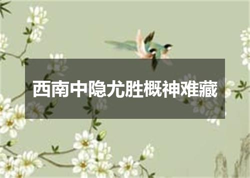 西南中隐尤胜概神难藏