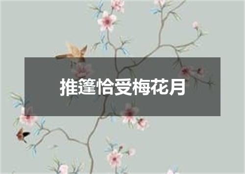 推篷恰受梅花月