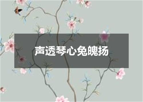 声透琴心兔魄扬