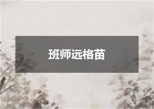 班师远格苗