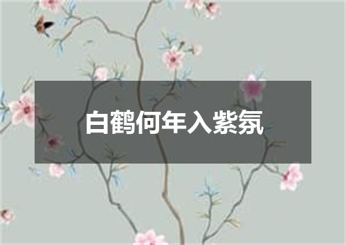 白鹤何年入紫氛