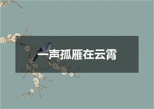 一声孤雁在云霄