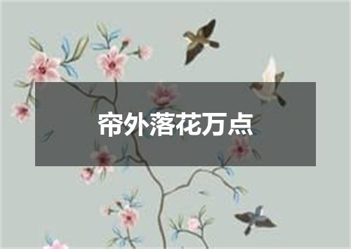 帘外落花万点