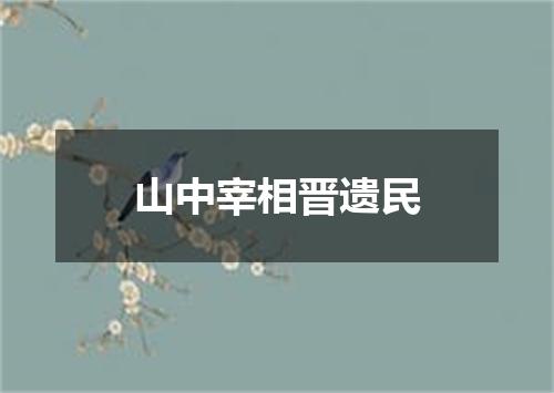 山中宰相晋遗民