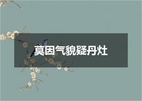 莫因气貌疑丹灶