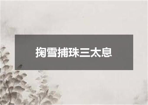 掬雪捕珠三太息