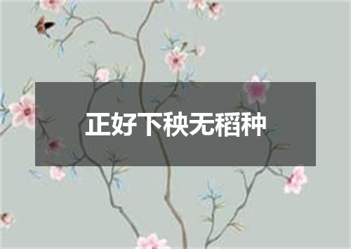 正好下秧无稻种