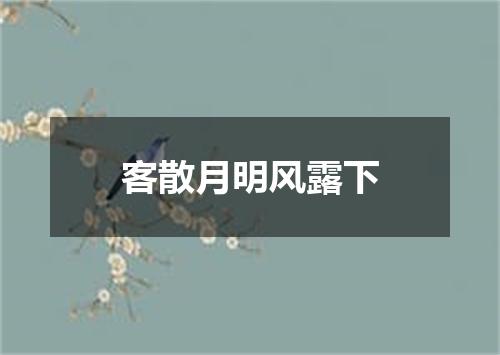 客散月明风露下