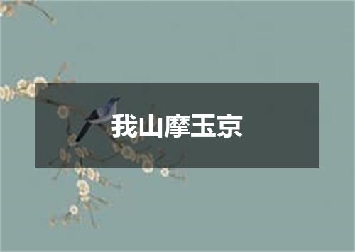 我山摩玉京