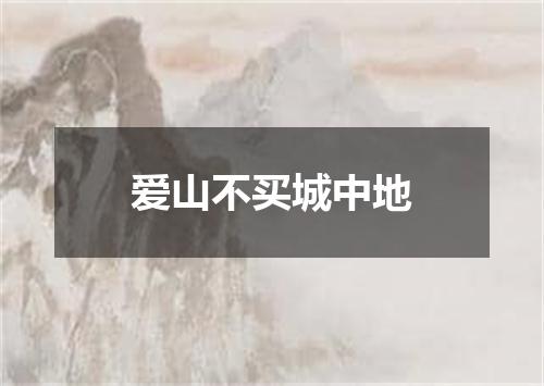 爱山不买城中地