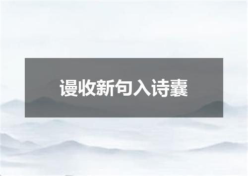 谩收新句入诗囊