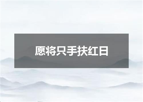 愿将只手扶红日