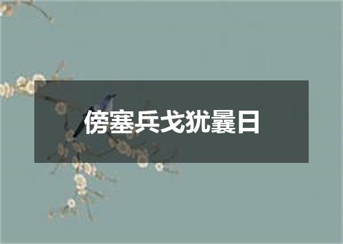 傍塞兵戈犹曩日