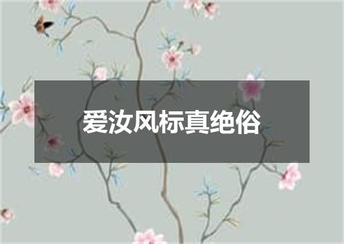 爱汝风标真绝俗