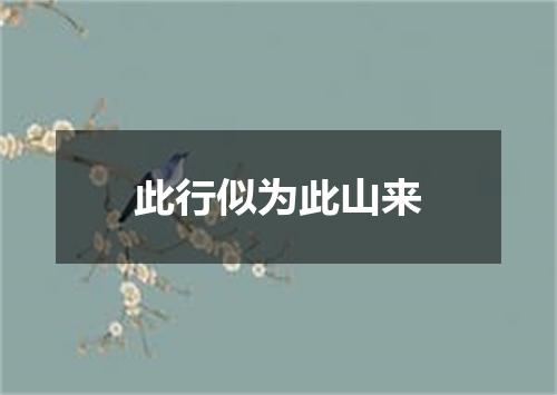 此行似为此山来