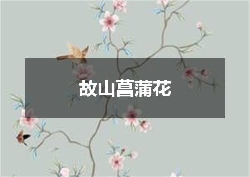 故山菖蒲花