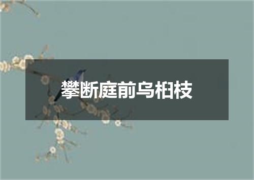 攀断庭前乌桕枝