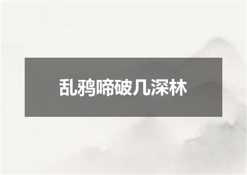 乱鸦啼破几深林