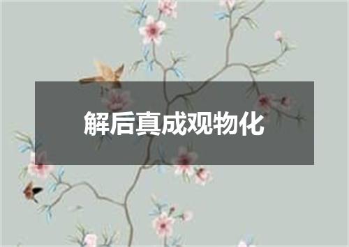 解后真成观物化