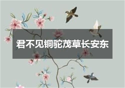 君不见铜驼茂草长安东