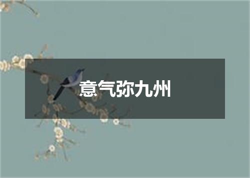 意气弥九州