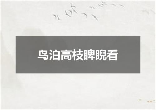 鸟泊高枝睥睨看