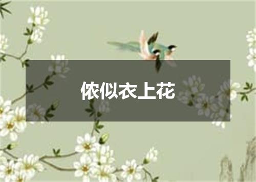 侬似衣上花