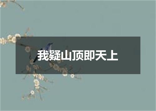 我疑山顶即天上