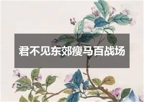 君不见东郊瘦马百战场