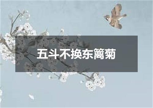 五斗不换东篱菊