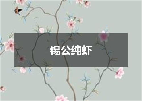 锡公纯虾