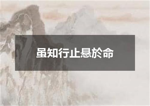 虽知行止悬於命