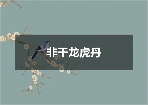 非干龙虎丹