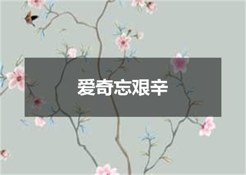 爱奇忘艰辛