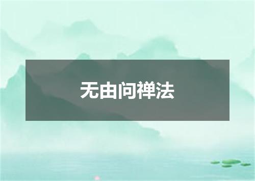 无由问禅法