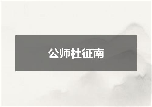 公师杜征南