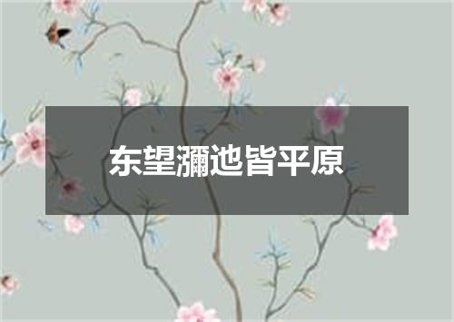 东望瀰迆皆平原