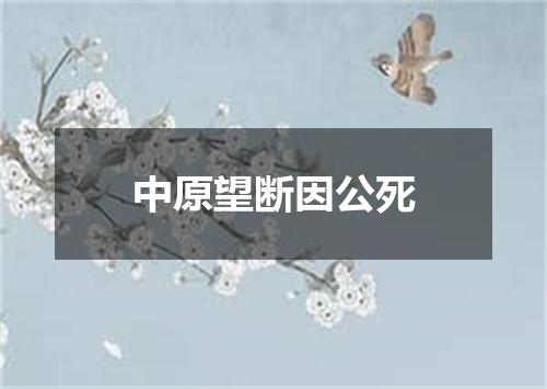 中原望断因公死